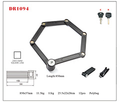 DR1094 Folding Lock