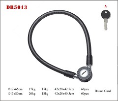 DR5013  Cable lock